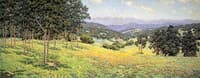 California Landscape with Flowers