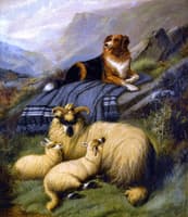 Guarding the Flock