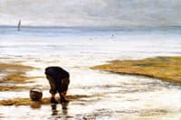 The Beach Comber