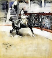 The Circus