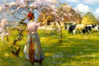 Spring Blossom