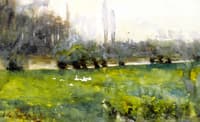 Swans in a Meadow