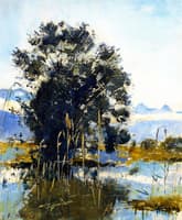 Marshland by Gwatt (Lake of Thun)