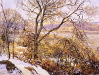 Woods and Stream in Winter, Upper Delaware