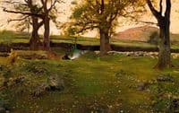 Alrededores de Olot