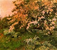 Almendros de montaña