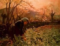 Horta