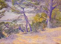 Under the Pines at Carqueiranne