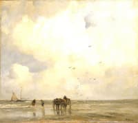 Shell Fishers