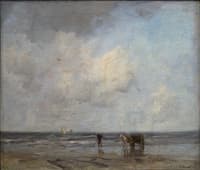 Schelpenvisser