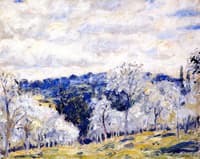 Apple Blossoms