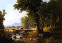 Woodland Landscape