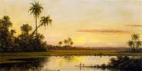 Florida River Scene
