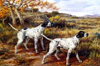 Two Pointers on Scent
