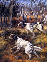 Two Setters