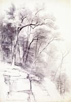 Study of Trees and Rocks, Kaaterskill Clove, New York