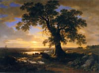 The Solitary Oak