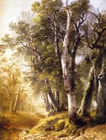 Trees by the Brookside, Kingston, New York