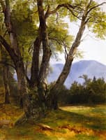 Shandaken, Ulster County, New York