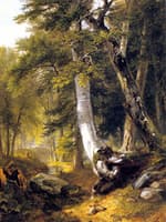 Sketch in the Woods