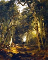 In the Woods