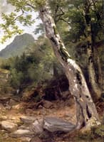 A Sycamore Tree, Plaaterkill Clove