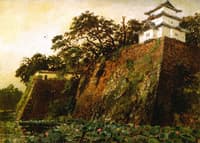 The Castle Moats of Tokyo