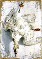 Still Life with White Goose