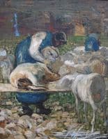 La tosatura delle pecore