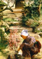 In the Garden