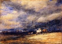 The Night Train