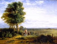 The Skylark