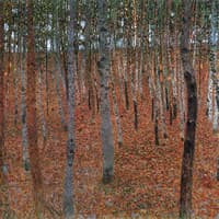 Forest of Beech Trees