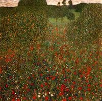 Poppy Field