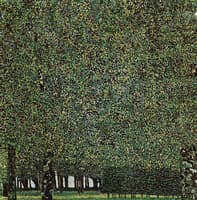 The Park