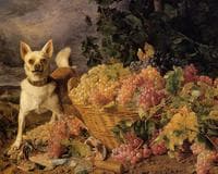 A Dog by a Basket of Grapes in a Landscape