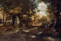 In the Forest