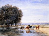 Horses Drinking