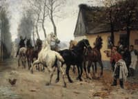 A Pack of Horses