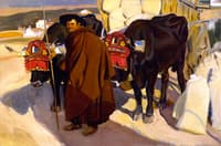 A Castilian Oxman