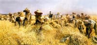 La siega en Andalucia