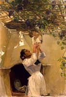 The Grapevine