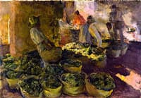 Elaboración de la pasa (Jávea)