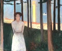 Summer Night's Dream