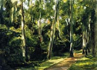 The Birch Avenue in the Wannsee Garden toward the Southwest