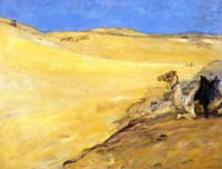 The Libyan Desert
