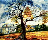 The Oak