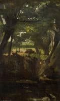 Forest View