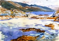 Loch Moidart, Inverness-shire (1)
