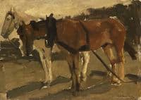 A Brown and a White Horse in Scheveningen